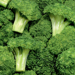 Brocoli