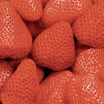 Fresas